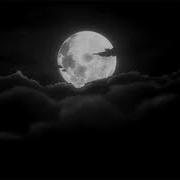Lana Del Rey Summertime Sadness Slowed Reverb