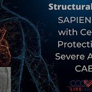 Heart Restoration Sapien