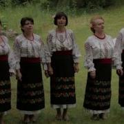Busuioc Moldovenesc Polca