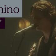 Louise Indigo Night Live
