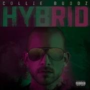 Collie Budzz Hybrid Album