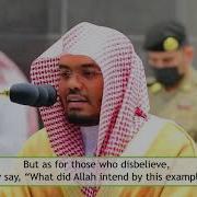 Ad Dawsari Baqara