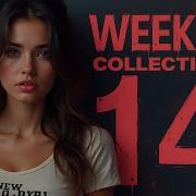 Weekend Collection Vol 14 2024 New Eurodisco