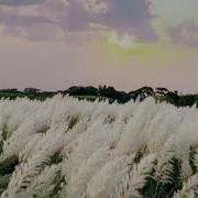 Bulgarian Trap Music Balkan Trap Slavic Music Free Download