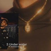Underwater Mike Damn