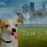 Song Tom S Dog Asdfmovie5 Theme