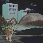 Teenage Dream Curtis Cole