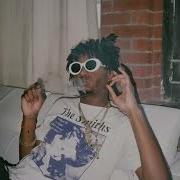 Molly Playboi Carti Tiktok