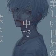 Bin インスタント Mv