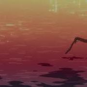 Bird Set Free Slowed