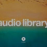 Dutty Vibe Tracks No Copyright Music