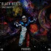 Black Hertz Starhertz
