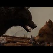 Twilight Wolves Katy Perry