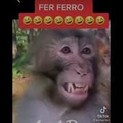 Ferferro