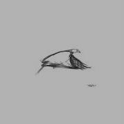 Free Bird Slowed