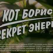 Реклама Китикет 2020