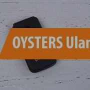 Oysters Ulan Ude Dns