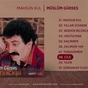 Müslüm Gürses Çile