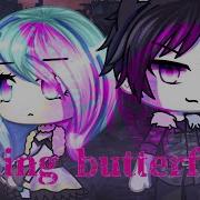 Killing Butterflies Glmv Gachalife