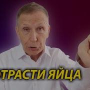 Алексей Шевцов Психотерапевт