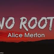 No Roots Alice Merton Lyrics