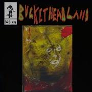 Thank You Taylor 1T Buckethead Pike 323