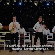 Lautarii Magdacesti