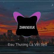 宋孟君 悲伤是道疤 Dj沈念版 Đau Thương Là Vết Sẹo Remix Tống Mạnh Quân