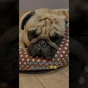 И Что Же Теперь Делать Что Делать Ждать