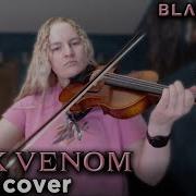 Pink Venom Violin Cover