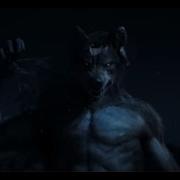 Shape Shifter Amv I M Dangerous Lyrics