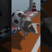 Cows On Plasma