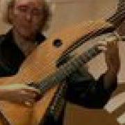 Joan Doan Harp Guitar