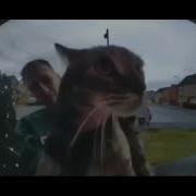 Hello Neighbor Get Out Ringtones