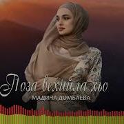 Х1А Бехк Ца Хилла Со Жима Хилла