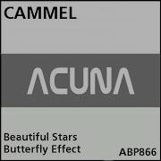 Camel Beautiful Stars