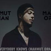 Everybody Knows Remix