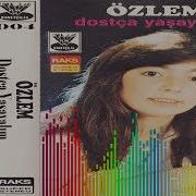 Özlem Gönül Defteri
