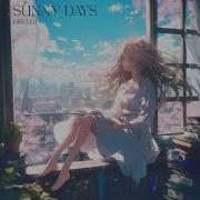Sunny Days Diseleit