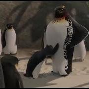 Surf Up Tank Evans Tribute