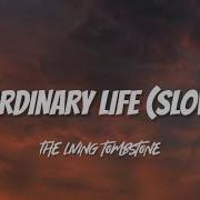 My Ordinary Life Slowed Down