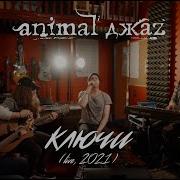 Ключи Animal Джаz