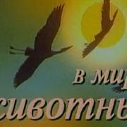 Николай Дроздов В Мире Животных