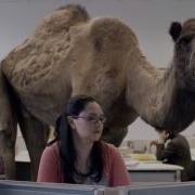 Wednesday Hump Day