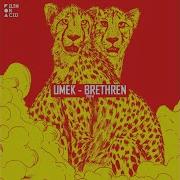 Brethren Original Mix Umek