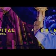Capital Bra Feat Gringo Kuku Sls Prod Goldfinger