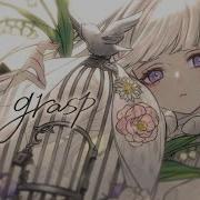 Konoco Grasp
