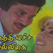Poththi Vacha Duet