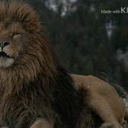 Nemean Lion Sounds