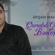 Qurudub Göndərmə Bənövşələri Əfqan Mahmudov